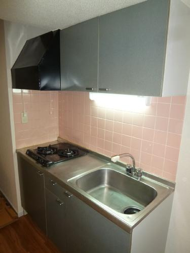 【キッチン】 | ソフィア三鷹 | システムキッチン　ガスコンロ２口