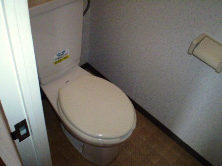 ボーマノワのトイレ|綺麗なトイレです。