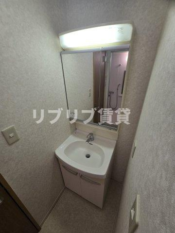 エスカイア本千葉第一の洗面所