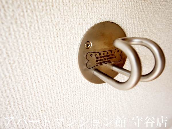 リズィエールⅡのその他