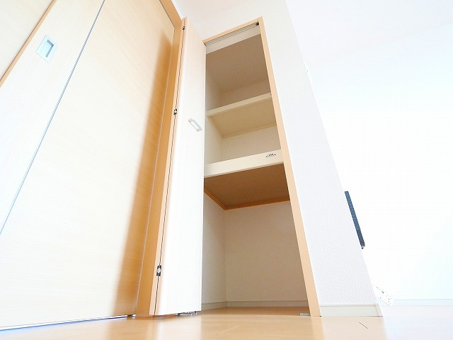 レジデンス西九条の収納|便利な収納スペースです