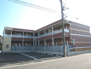 コスモⅡの画像