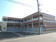 コスモⅡの画像