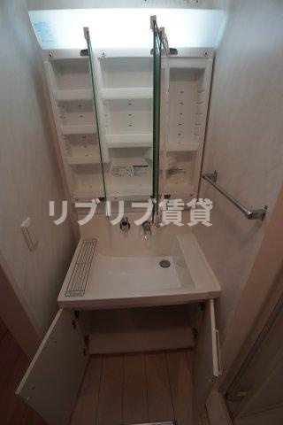エスペランサAの洗面所