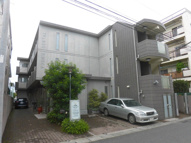 PISELLOの画像