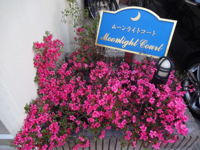 【エントランス】 | ムーンライトコート