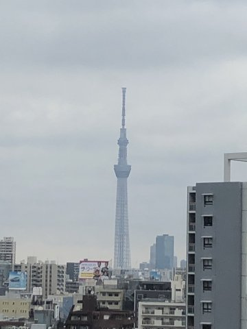 中央区新川１丁目の賃貸マンションのその他|眺望