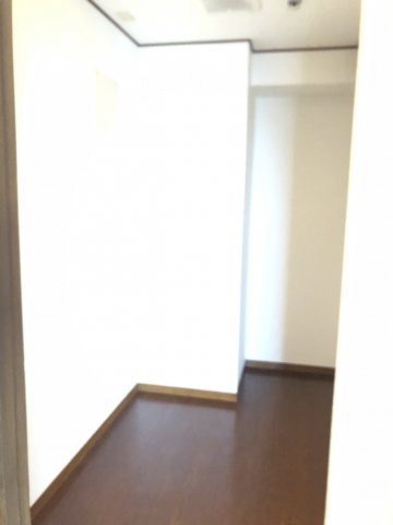 中央区新川１丁目の賃貸マンションのその他|納戸