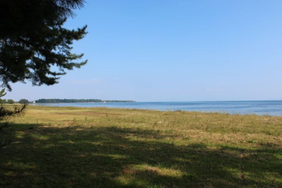 【周辺】 | 高島市勝野1-173 売土地 | 物件から徒歩圏内の浜