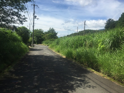 【外観】 | 高島市マキノ町白谷,約221坪の売地