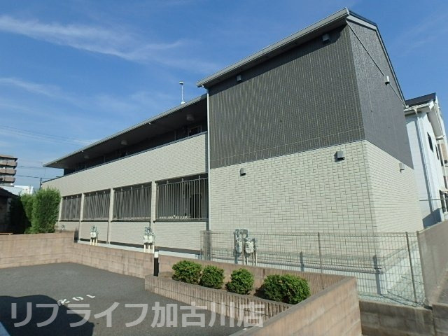 tentree新在家