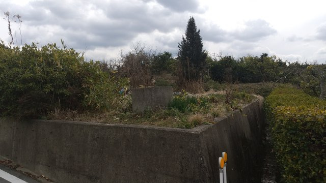 紀の川市桃山町調月・土地・56062の外観