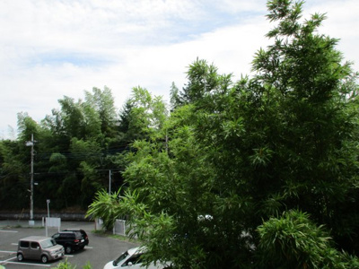 【展望】 | アイビスレジデンス西生田