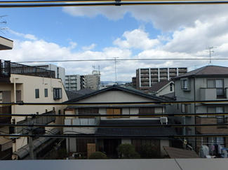 【展望】 | メゾン桜