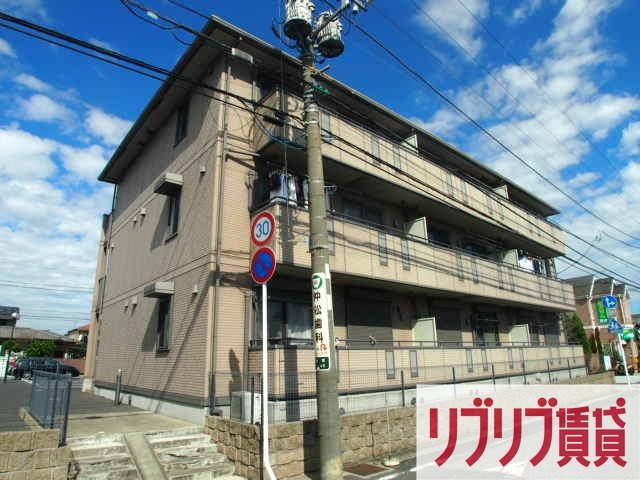 セジュール山の根の外観