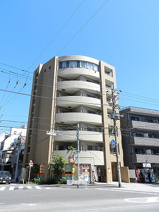 セトルオクサワの画像