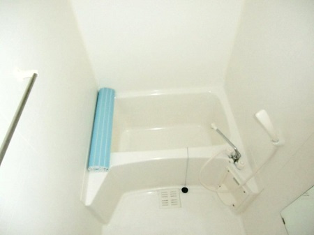 ブルーウィル入江の浴室