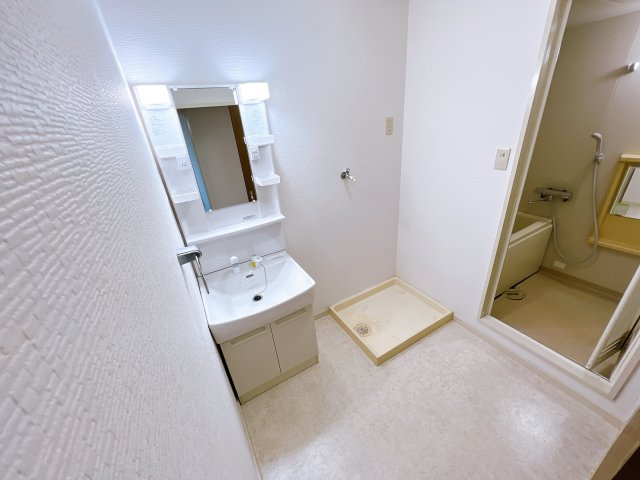 ヴィブレ司の洗面所