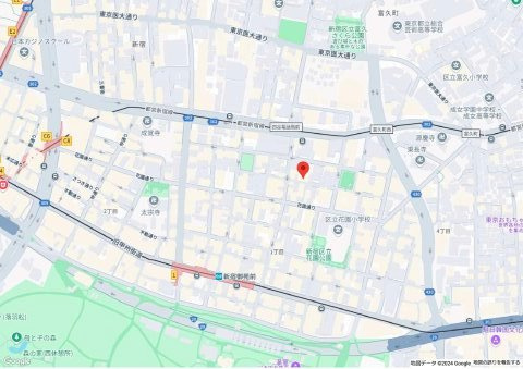 グランドメゾン新宿東の地図