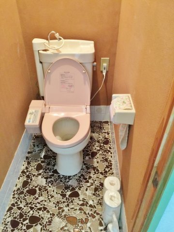 東金貸家のトイレ