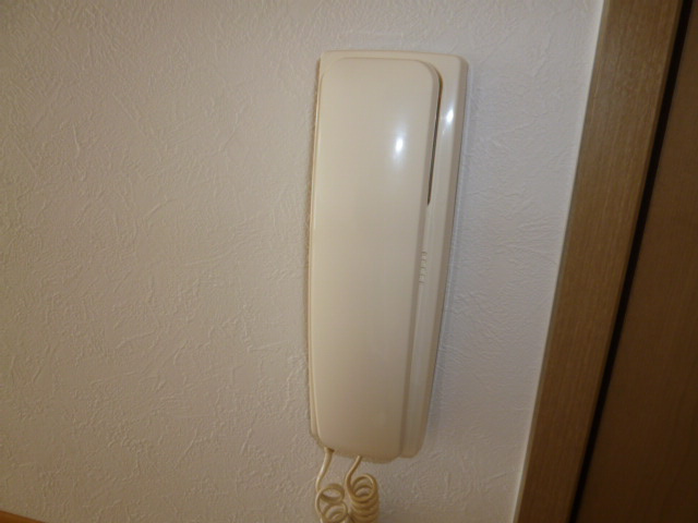 グランデカーサのセキュリティ|インターホン