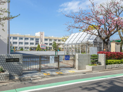 【周辺】 | 鹿骨1丁目5号棟 | 江戸川区立鹿骨小学校　距離520m