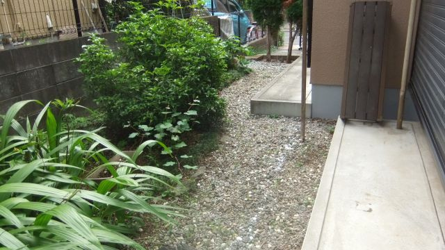 小金井市緑町4丁目貸家の庭