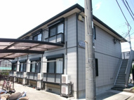 ブルーベリーコートの画像