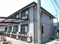 ブルーベリーコートの画像