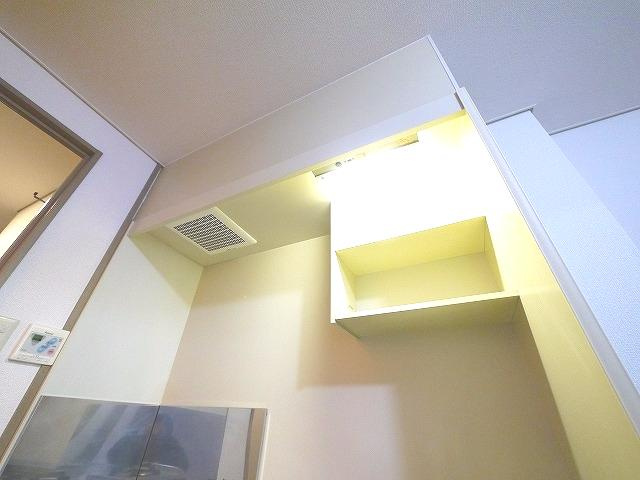 ウェストヴィレッジの収納|大きなものも収納できそうです