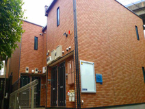 グレイスタートルの画像