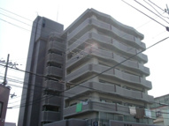 クレストサンシェルの画像