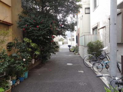 【周辺】 | スクエアコート