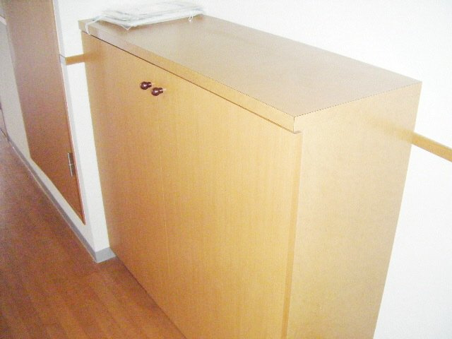 アプルーバルＳの玄関