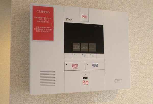 ミランダフリューリングのセキュリティ