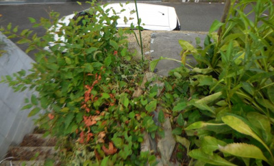 【外観】 | 和邇高城高台土地