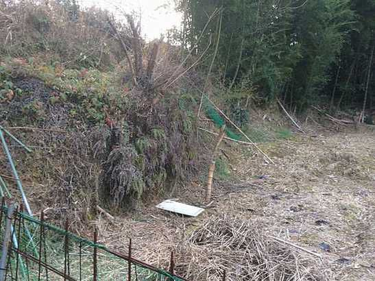 【外観】 | お気軽にお問合せください。