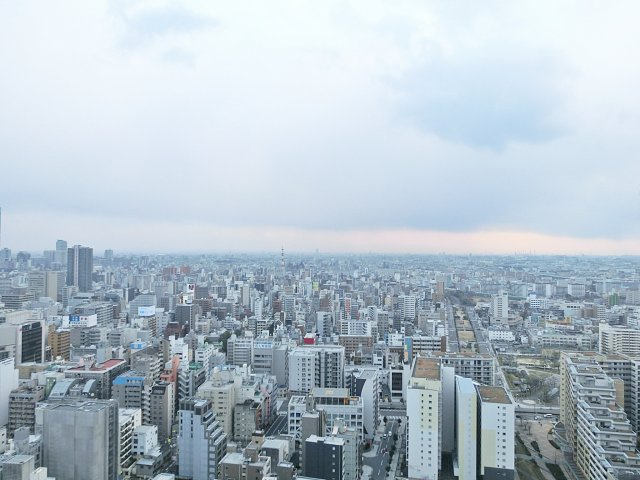 ローレルタワー難波の展望