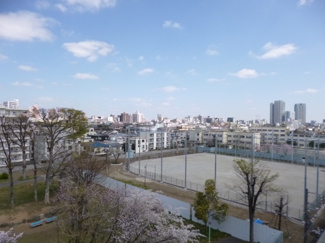 【展望】 | 洋室２からの眺望