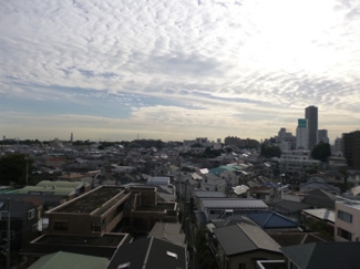 【展望】