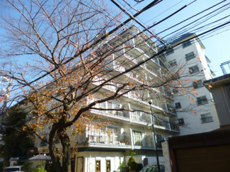 【外観】 | 北青山2丁目の閑静な住宅街です。