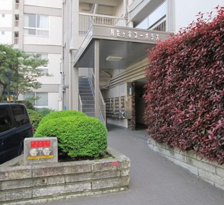 【エントランス】 | 管理体制良好で共用部分も綺麗です