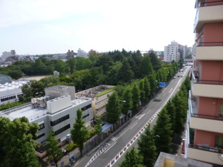 【展望】 | 近くには緑豊かな「蚕糸の森公園」もあります