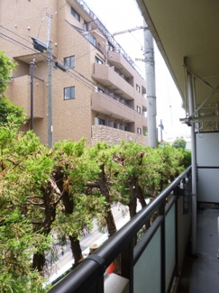 【展望】