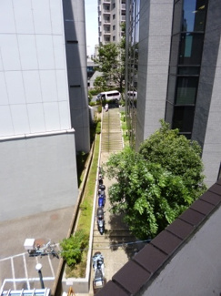 【展望】