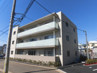 ラフィオレピスの画像