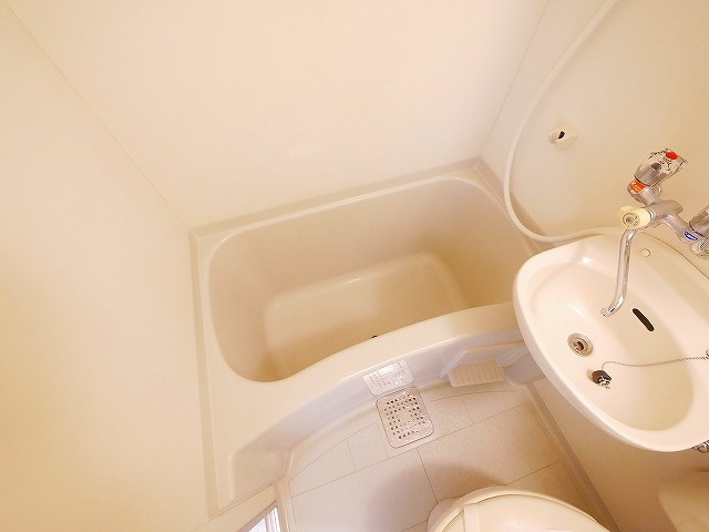 シャトー・ドゥ・クリヨンの浴室