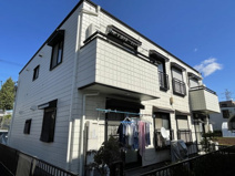 マーロンシライトの画像