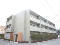 アルデール・カサの画像