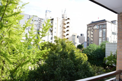 【展望】 | センエイ谷四